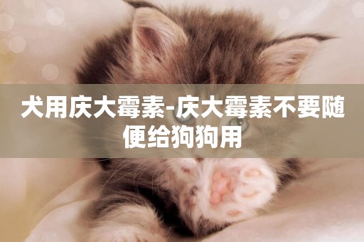 犬用慶大霉素-慶大霉素不要隨便給狗狗用