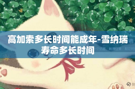 高加索多長時間能成年-雪納瑞壽命多長時間
