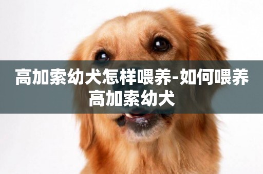 高加索幼犬怎樣喂養-如何喂養高加索幼犬