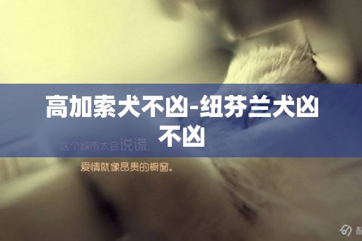 高加索犬不兇-紐芬蘭犬兇不兇