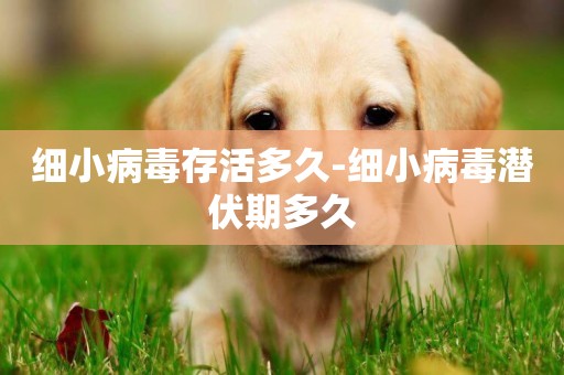 細小病毒存活多久-細小病毒潛伏期多久