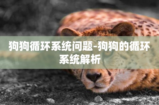 狗狗循環系統問題-狗狗的循環系統解析