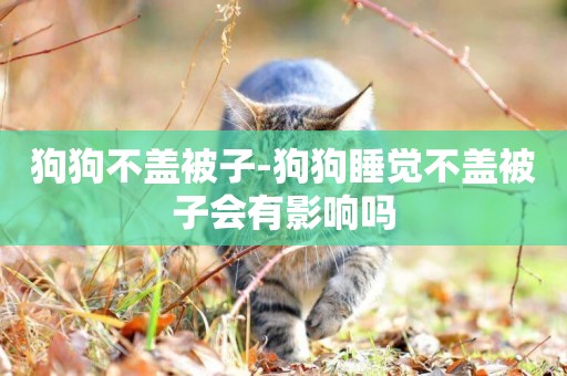 狗狗不蓋被子-狗狗睡覺不蓋被子會有影響嗎
