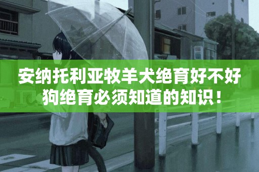 安納托利亞牧羊犬絕育好不好 狗絕育必須知道的知識！