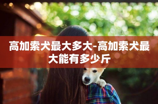 高加索犬最大多大-高加索犬最大能有多少斤