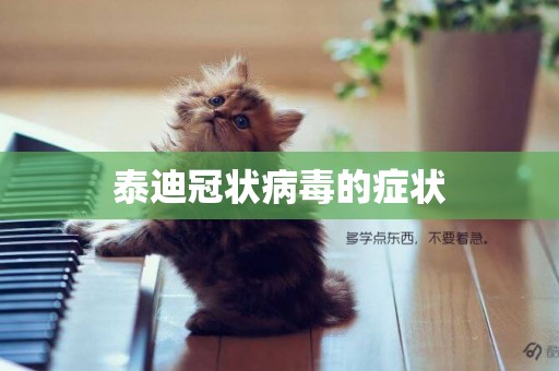泰迪冠狀病毒的癥狀