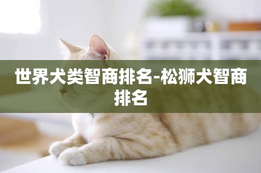 世界犬類智商排名-松獅犬智商排名