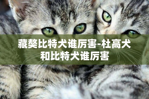 藏獒比特犬誰厲害-杜高犬和比特犬誰厲害