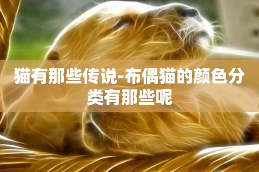 貓有那些傳說-布偶貓的顏色分類有那些呢
