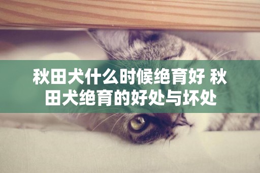 秋田犬什么時候絕育好 秋田犬絕育的好處與壞處