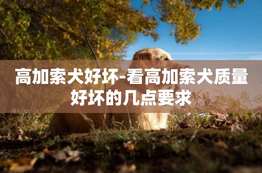 高加索犬好壞-看高加索犬質量好壞的幾點要求