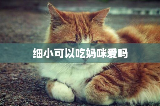細小可以吃媽咪愛嗎