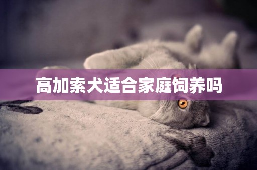 高加索犬適合家庭飼養嗎