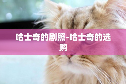 哈士奇的劇照-哈士奇的選購