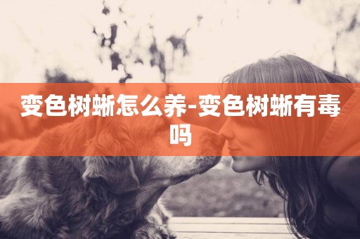 變色樹蜥怎么養-變色樹蜥有毒嗎