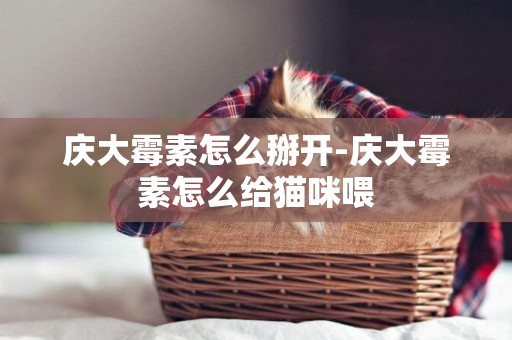 慶大霉素怎么掰開-慶大霉素怎么給貓咪喂