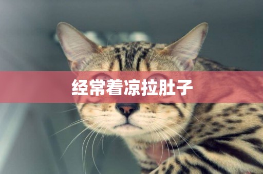 經常著涼拉肚子