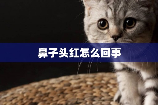鼻子頭紅怎么回事
