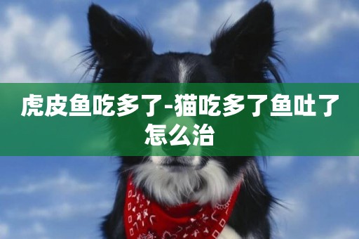虎皮魚吃多了-貓吃多了魚吐了怎么治