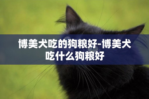 博美犬吃的狗糧好-博美犬吃什么狗糧好