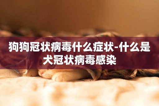 狗狗冠狀病毒什么癥狀-什么是犬冠狀病毒感染