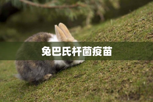 兔巴氏桿菌疫苗