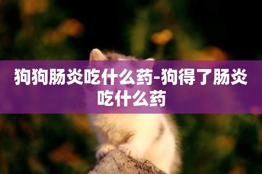狗狗腸炎吃什么藥-狗得了腸炎吃什么藥