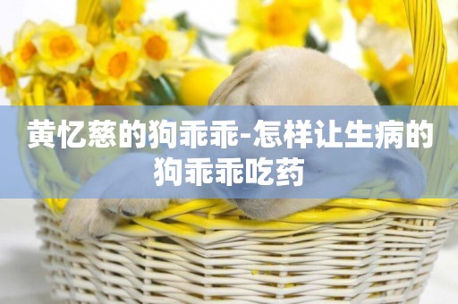 黃憶慈的狗乖乖-怎樣讓生病的狗乖乖吃藥