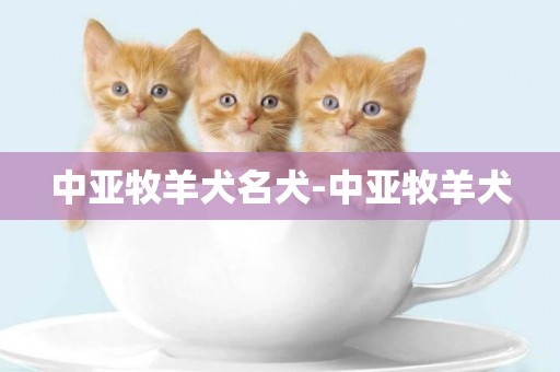 中亞牧羊犬名犬-中亞牧羊犬