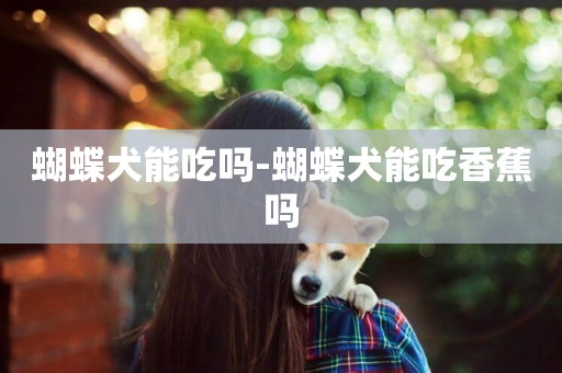 蝴蝶犬能吃嗎-蝴蝶犬能吃香蕉嗎