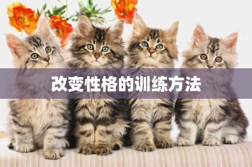 改變性格的訓練方法