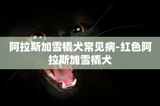 阿拉斯加雪橇犬常見病-紅色阿拉斯加雪橇犬