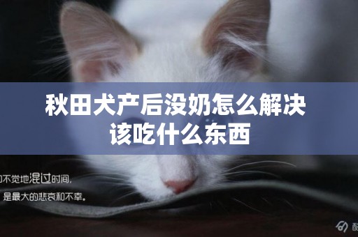 秋田犬產后沒奶怎么解決 該吃什么東西