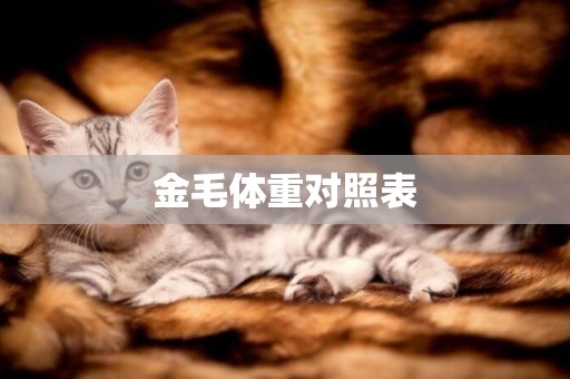 金毛體重對照表
