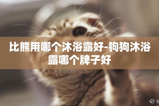 比熊用哪個沐浴露好-狗狗沐浴露哪個牌子好