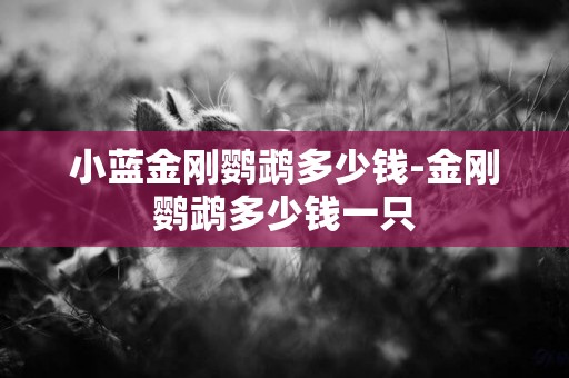 小藍金剛鸚鵡多少錢-金剛鸚鵡多少錢一只