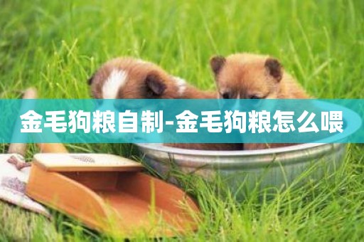 金毛狗糧自制-金毛狗糧怎么喂