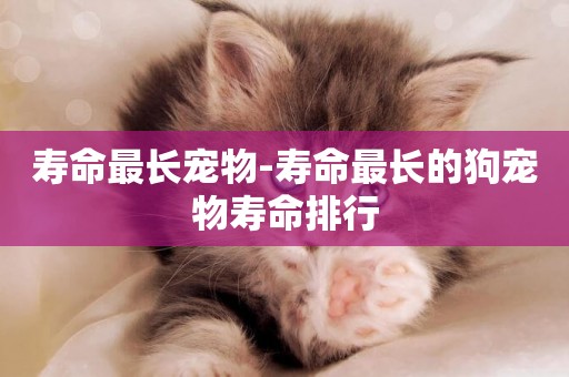 壽命最長寵物-壽命最長的狗寵物壽命排行