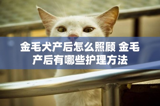 金毛犬產后怎么照顧 金毛產后有哪些護理方法