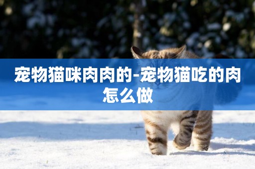 寵物貓咪肉肉的-寵物貓吃的肉怎么做