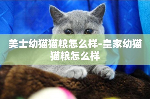 美士幼貓貓糧怎么樣-皇家幼貓貓糧怎么樣