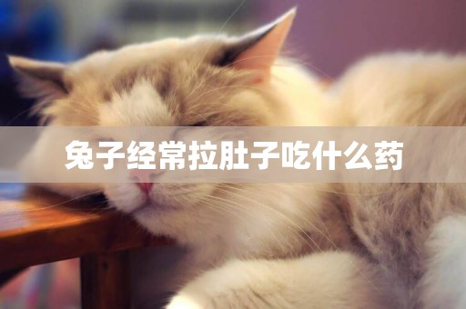 兔子經常拉肚子吃什么藥