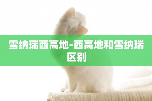 雪納瑞西高地-西高地和雪納瑞區別