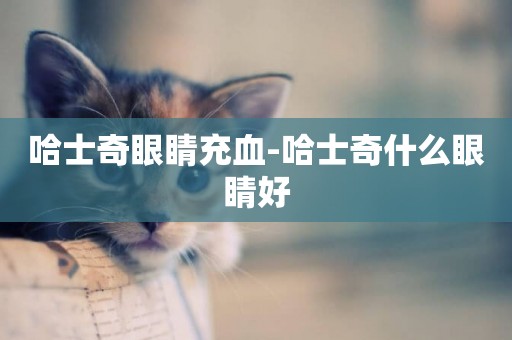 哈士奇眼睛充血-哈士奇什么眼睛好