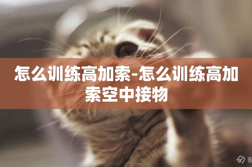 怎么訓練高加索-怎么訓練高加索空中接物