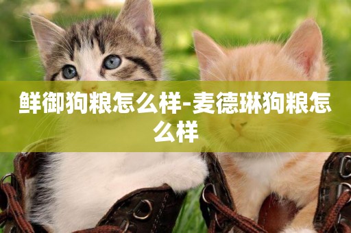 鮮御狗糧怎么樣-麥德琳狗糧怎么樣
