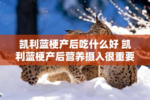 凱利藍梗產后吃什么好 凱利藍梗產后營養攝入很重要！