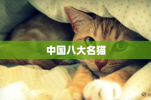 中國八大名貓