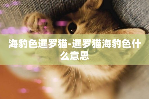 海豹色暹羅貓-暹羅貓海豹色什么意思