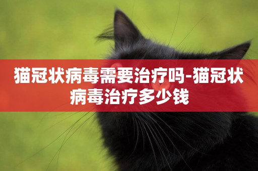 貓冠狀病毒需要治療嗎-貓冠狀病毒治療多少錢